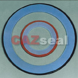 PTFE Busta Guarnizione