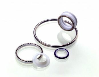 La guarnizione di PTFE, primavera ha stimolato la guarnizione del teflon, la guarnizione rotatoria del teflon, guarnizione statica di PTFE