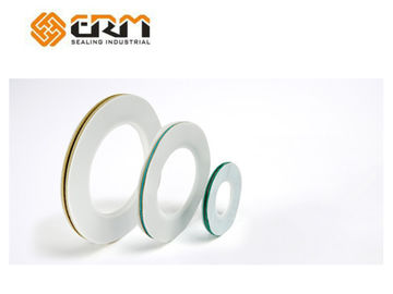 Guarnizioni della busta della flangia PTFE